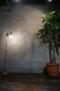 古い外壁のような壁を背景にしたシンプルな撮影も可能です